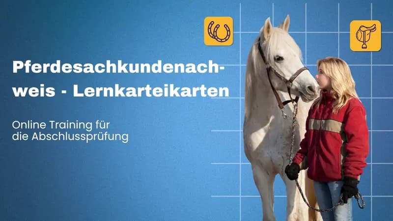 Pferdesachkundenachweis - Lernkarteikarten