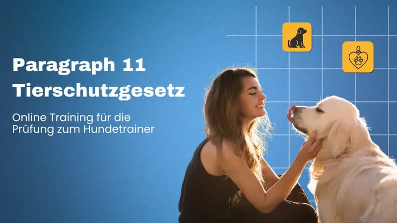 Paragraph 11 Tierschutzgesetz Prüfungsfragen für Hundetrainer