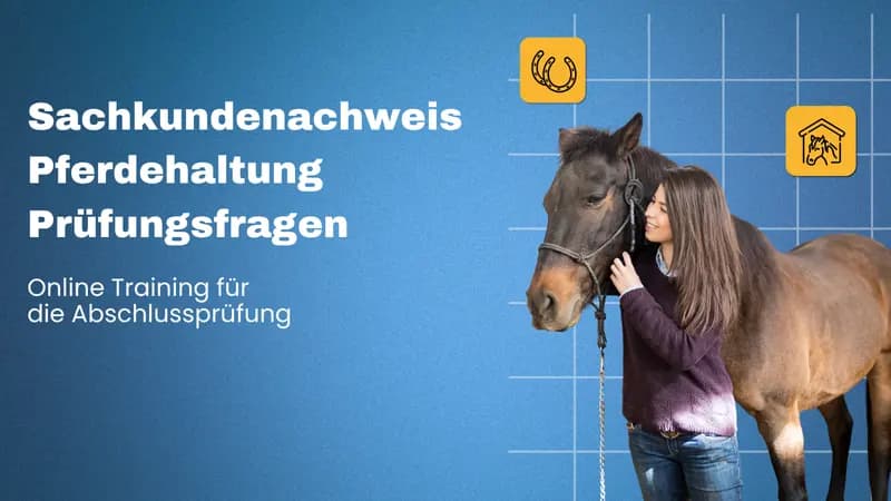 Sachkundenachweis Pferdehaltung Prüfungsfragen