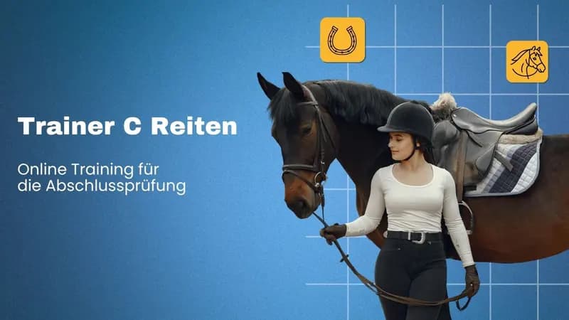 Trainer C Reiten Prüfung